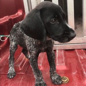 Meet your Posher, Abby